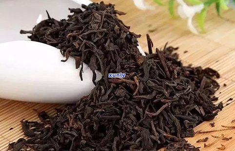 普洱野茶属于什么茶？探索其种类、口感与香气特性