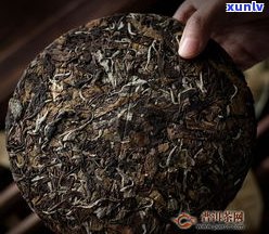 普洱茶有哪些茶饼品种？了解不同种类的图片、名称与好坏！