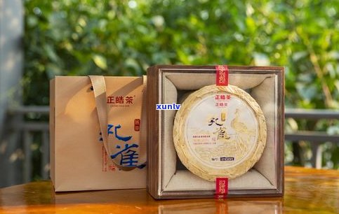 普洱茶有哪些知名品牌？探索茶饼界的佼佼者