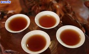 普洱茶的极品贡茶是何茶？揭示其特性和品质