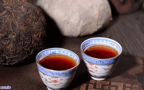 普洱茶的极品贡茶品种、品牌及种类介绍
