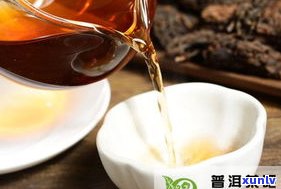 普洱茶的极品贡茶-普洱茶的极品贡茶是什么