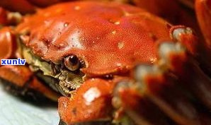 普洱茶与螃蟹：哪种更好？口感、健康比较