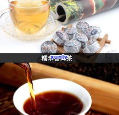 糯米普洱茶好喝吗？知乎用户分享口感、冲泡 *** 与饮用技巧！