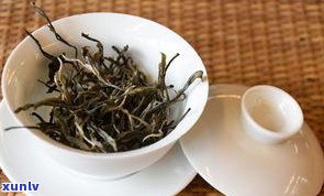 出口大益茶普洱茶怎么样？口碑、价格、口感全方位解析！