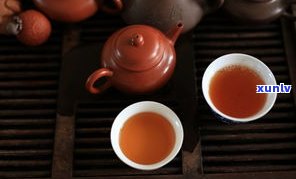 出口大益茶普洱茶怎么样？口碑、价格、口感全方位解析！