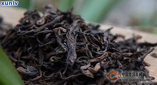 永德古树熟茶：价格表与市场行情全解析