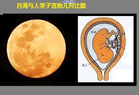 玉石龙牙寓意：解析其深层次含义与文化内涵