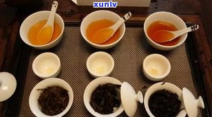 茶窝网的茶是否为正品？质量如何？能否购买？真伪难辨？