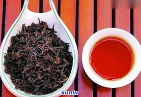 大红袍茶普洱茶-大红袍 普洱茶