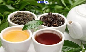 普洱茶属于什么类型的茶？探究其独特分类和特性