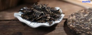 普洱茶属于什么类型的茶？探究其独特分类和特性