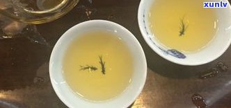 普洱茶属于什么类型的茶？探究其独特分类和特性