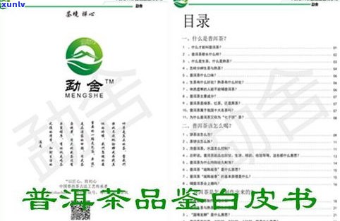 普洱茶属于什茶类别？详解其所属的茶类归属