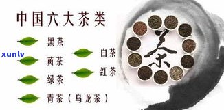 普洱茶属于什茶类别？详解其所属的茶类归属