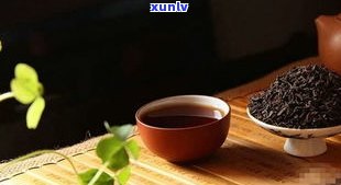 普洱茶功效适合人群：详细解析与适用范围