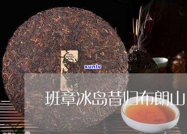 云南普洱茶研究院：揭秘冰岛七星普洱茶的研制过程与官网信息