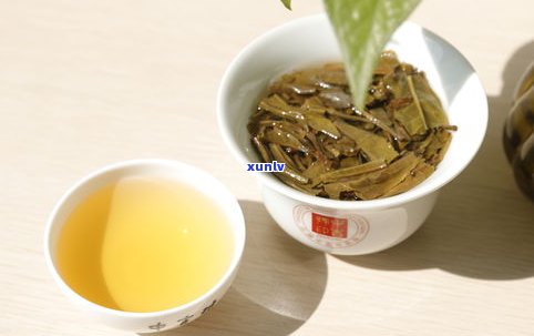 和普洱茶相似的茶是什么茶？探索口感、产地等方面的相似之处