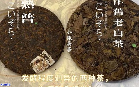 和普洱茶相似的茶-和普洱茶相似的茶叶