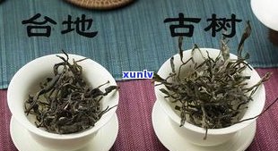 普洱茶都是古树茶-普洱茶都是古树茶吗