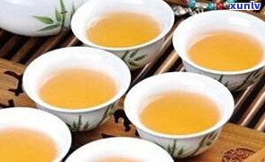 冰普洱茶生茶价格-普洱冰茶的价格