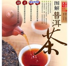 探究普洱茶各茶区的独特特点