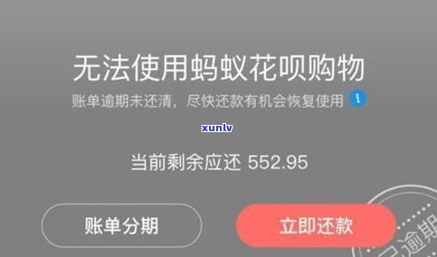 花呗还不上会怎么办？了解可能的后果与解决办法