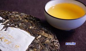 普耳茶属于什么茶类？详解其所属的茶系和类型