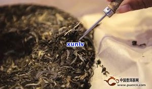 普洱生茶的食用  及其功效与禁忌