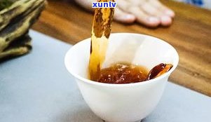 普洱紧压茶：如何泡出好喝的茶汤？