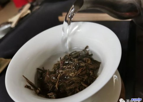 普洱紧压茶：如何泡出好喝的茶汤？