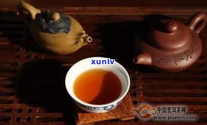 普洱茶苦茶的功效与禁忌全解析