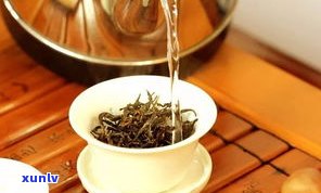 普洱苦茶的功效与作用：全面解析、禁忌与副作用