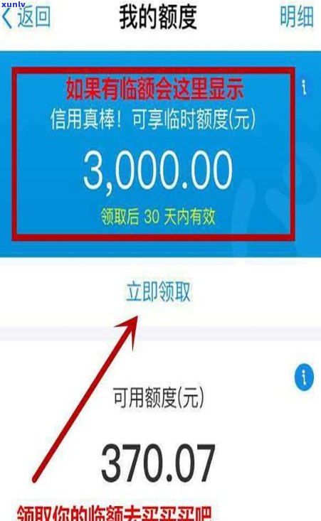 花呗逾期后能否继续使用支付宝扫码支付？安全性及操作步骤解析