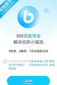 花呗逾期是不是仍可采用支付宝转账？安全性怎样？能否在其他平台借款？