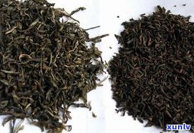 熟茶才算是普洱茶-熟茶才算是普洱茶吗