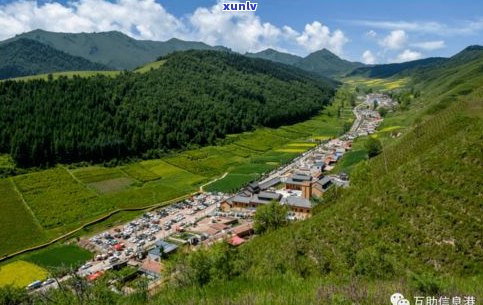 普洱茶山系：全面解读两大山系特色与口感，高清分布图一览无余