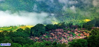 普洱茶山系：全面解读两大山系特色与口感，高清分布图一览无余