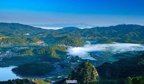 普洱茶山自然优势：独特地理环境、丰富生物资源与气候条件