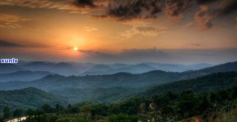 普洱茶山自然优势：独特地理环境、丰富生物资源与气候条件