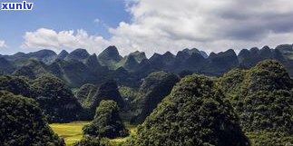 普洱茶山分布全图高清大图，一览无余