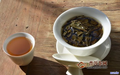 普洱茶各大茶区的特点：探索云南、勐海、西双版纳等地的特别风味与历史文化