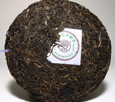 普洱茶各茶区特点-普洱茶各个茶区特点