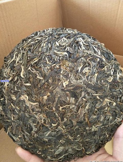 普洱茶各茶区特点-普洱茶各个茶区特点