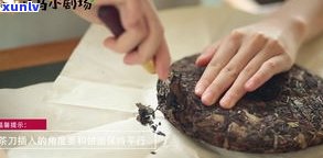 普洱茶饼如何取茶：步骤、工具与技巧