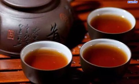 普洱茶是不是有散茶香味？探讨其口感与特点