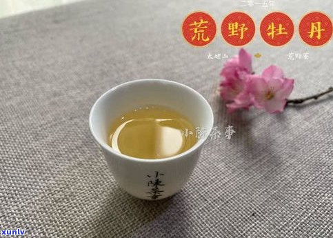 红茶老茶头普洱茶-红茶老茶头普洱茶哪个好喝