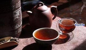 伏茶与普洱茶：哪种更适合作为减肥饮品？