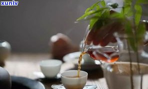 伏茶与普洱茶：哪个更适合减肥？比较它们的差别和优劣