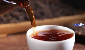 普洱和茯茶哪个减肥效果更好？
